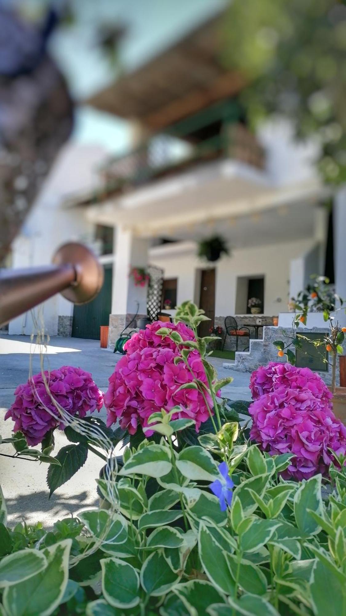 Апартаменти La Casa De La Abuela Пінос-Хеніль Екстер'єр фото