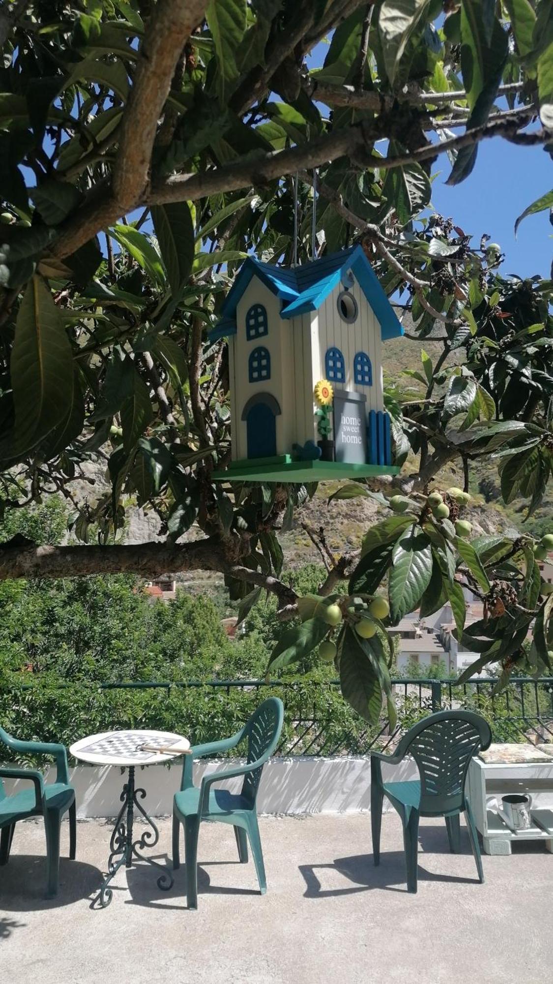 Апартаменти La Casa De La Abuela Пінос-Хеніль Екстер'єр фото